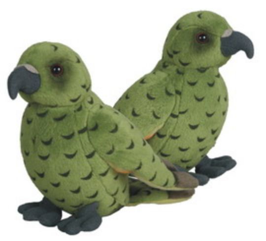 Picture of Kea Sound Bird