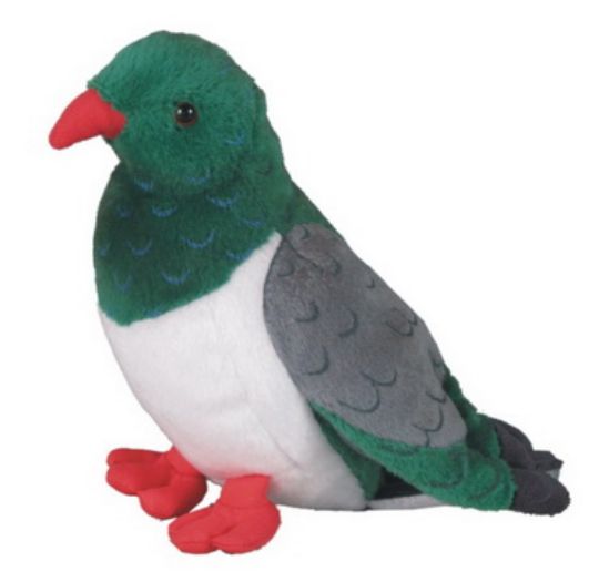 Picture of Kereru Wood Pigeon Sound