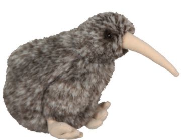 Picture of Spotted Kiwi Sound