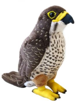 Picture of NZ Falcon Sound Bird