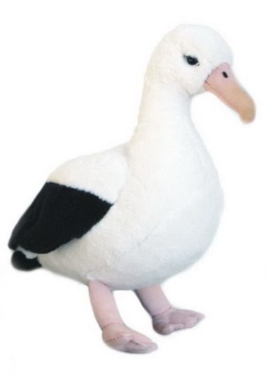 Picture of Albatross Sound Bird 15cm