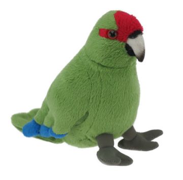 Picture of Kakariki Red Sound Bird