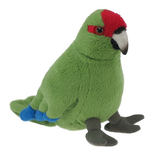Picture of Kakariki Red Sound Bird