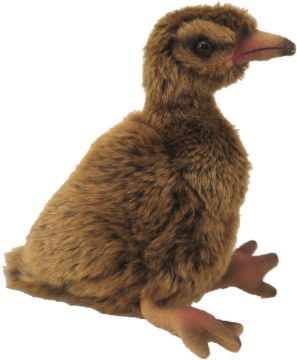 Picture of Weka Sound Bird
