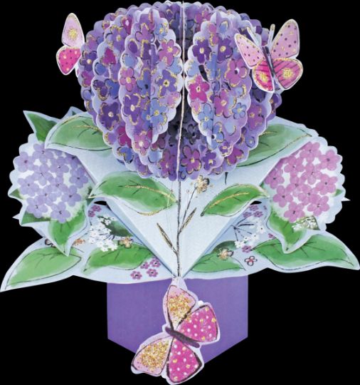 Picture of Hydrangea