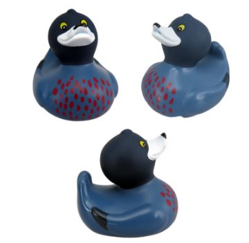 Picture of Bath Duck NZ Blue Duck Whio Whio