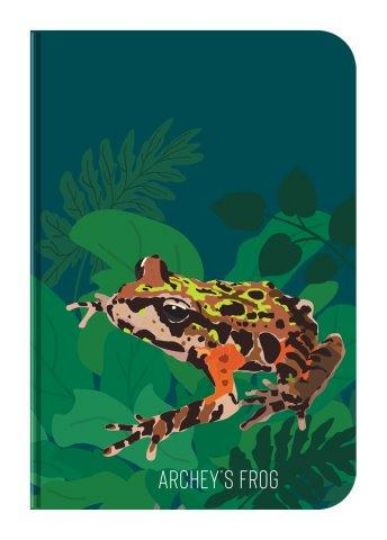 Picture of Notebook A6 Archey's Frog