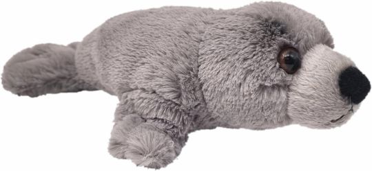 Picture of Wild Mini Grey Seal