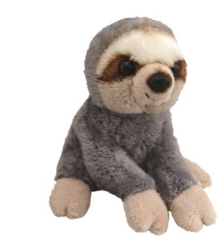 Picture of Wild Mini Sloth