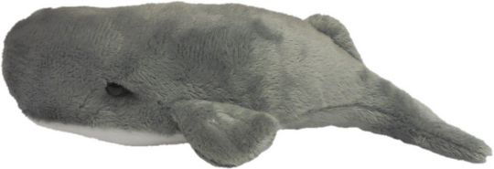 Picture of Wild Mini Sperm Whale