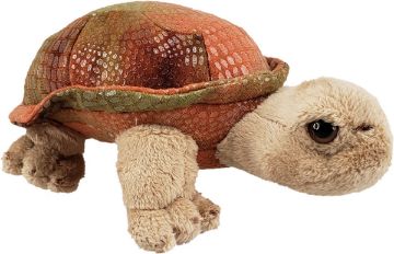 Picture of Wild Mini Tortoise
