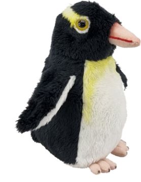 Picture of Wild Mini Yellow Eyed Penguin