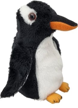 Picture of Wild Mini Gentoo Penguin