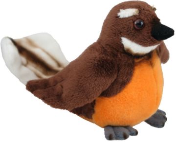 Picture of Mini Fantail