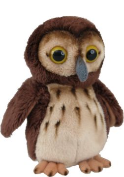 Picture of Mini Morepork