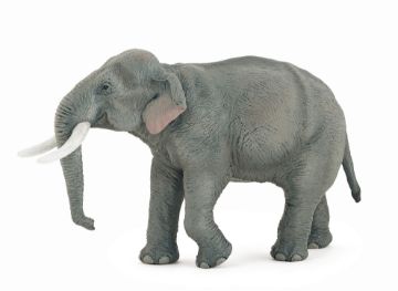 Picture of Papo Asian Elephant