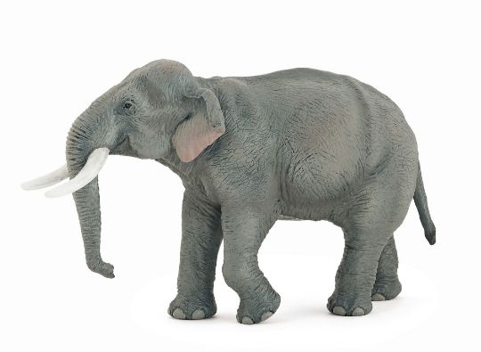 Picture of Papo Asian Elephant