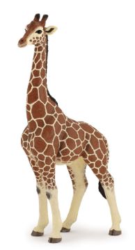 Picture of Papo Giraffe Male