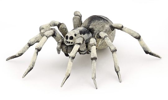 Picture of Papo Tarantula
