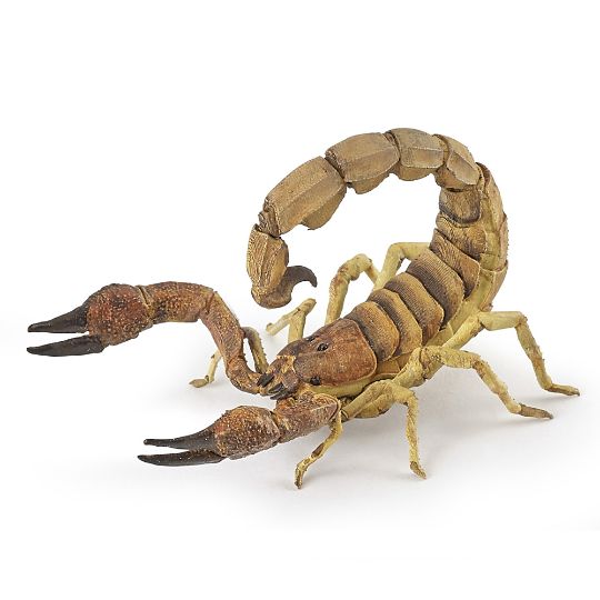 Picture of Papo Scorpion