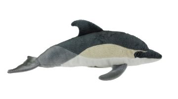 Picture of Dolphin Common Sound