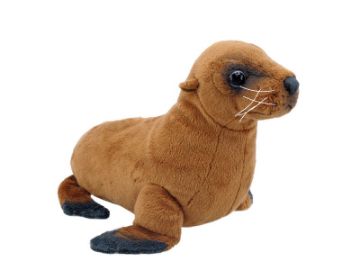 Picture of NZ Sea Lion Sound
