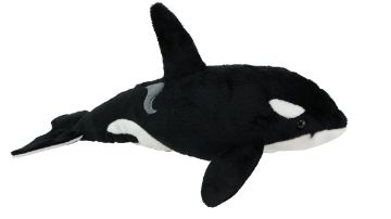 Picture of Orca Sound