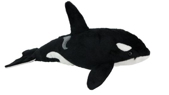 Picture of Orca Sound