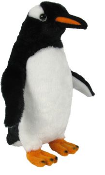 Picture of Gentoo Penguin (no sound)