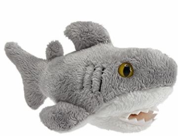 Picture of Wild Mini Shark