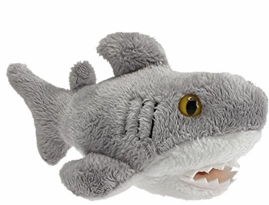 Picture of Wild Mini Shark