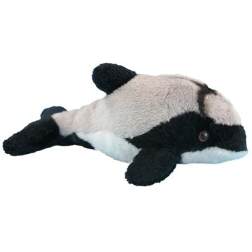 Picture of Wild Mini Hector Dolphin