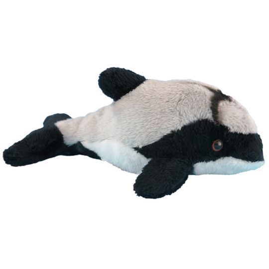 Picture of Wild Mini Hector Dolphin