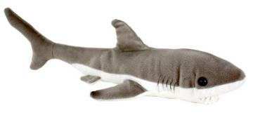 Picture of Wild Seas Shark