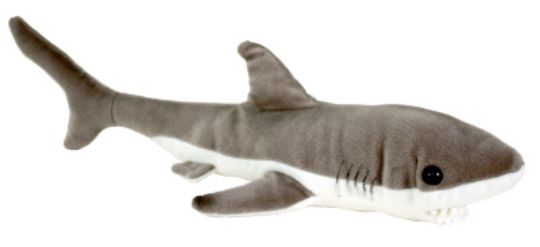 Picture of Wild Seas Shark