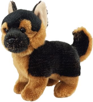 Picture of German Shepherd Standing