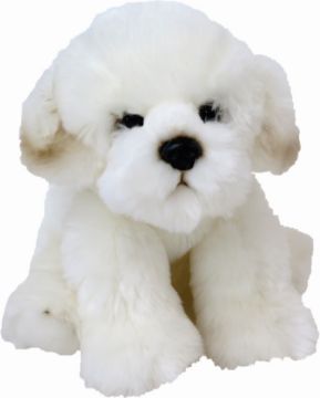 Picture of Lily Bichon Frise Dog Sitting 30cm