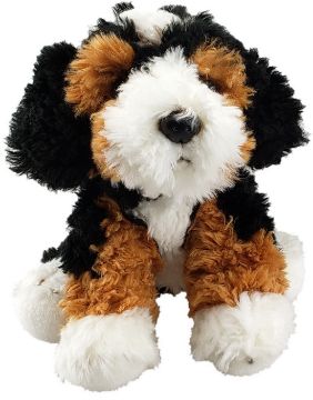 Picture of Bernedoodle