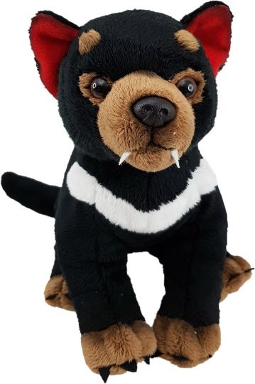 Picture of Tasmanian Devil