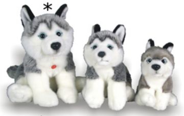 Picture of Husky Large