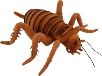 Picture of Giant Weta