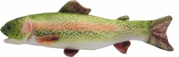 Picture of Rainbow Trout