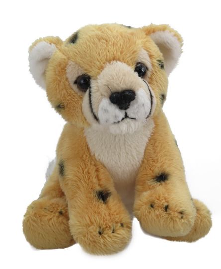 Picture of Wild Mini Cheetah