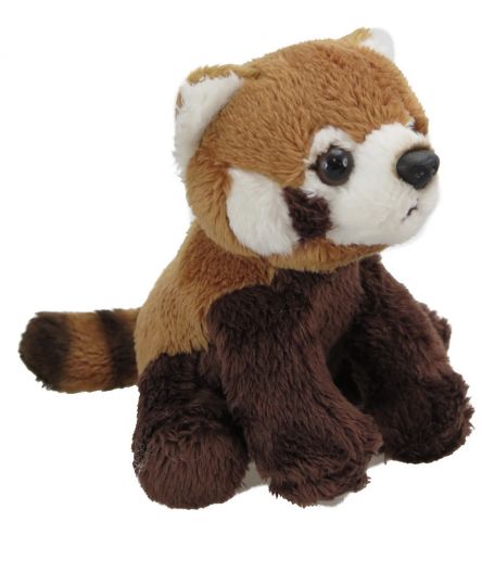 Picture of Wild Mini Red Panda