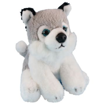Picture of Wild Mini Husky