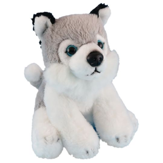 Picture of Wild Mini Husky