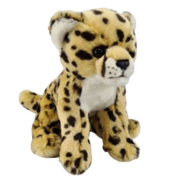 Picture of Cheetah