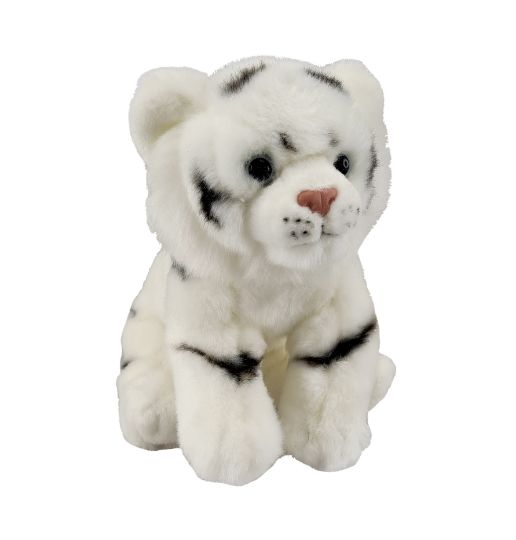 Picture of White Tiger