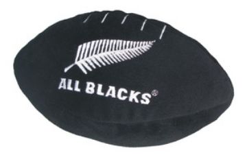 Picture of Rugby Ball Silver Fern