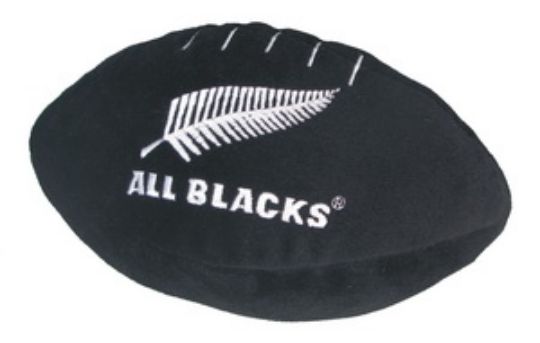 Picture of Rugby Ball Silver Fern